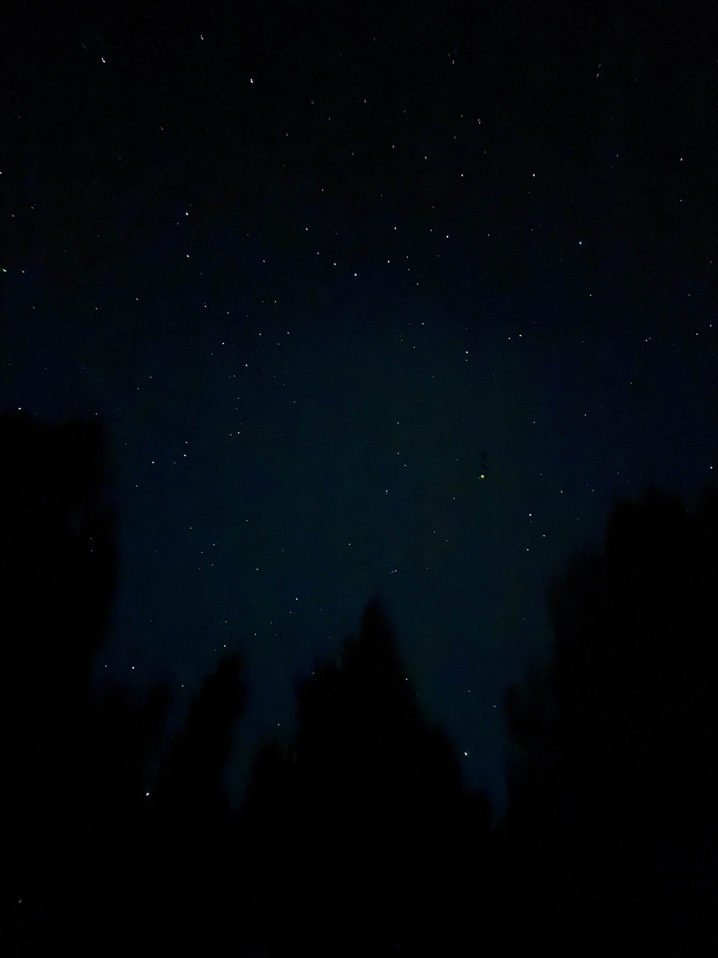 Camper-submitted photo at Turquoise Lake Primitive Camping near Granite, CO