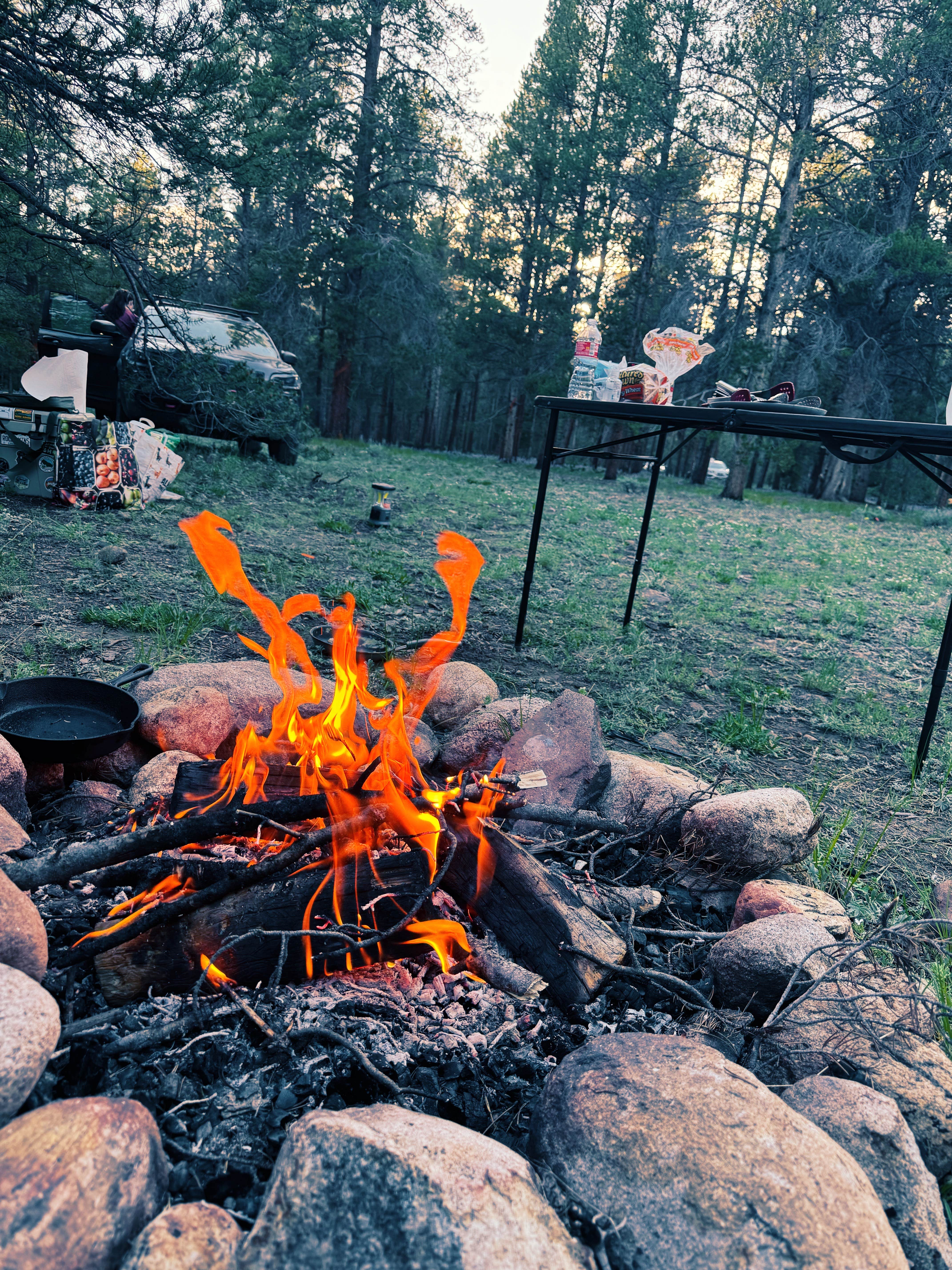 Camper-submitted photo at Turquoise Lake Primitive Camping near Granite, CO