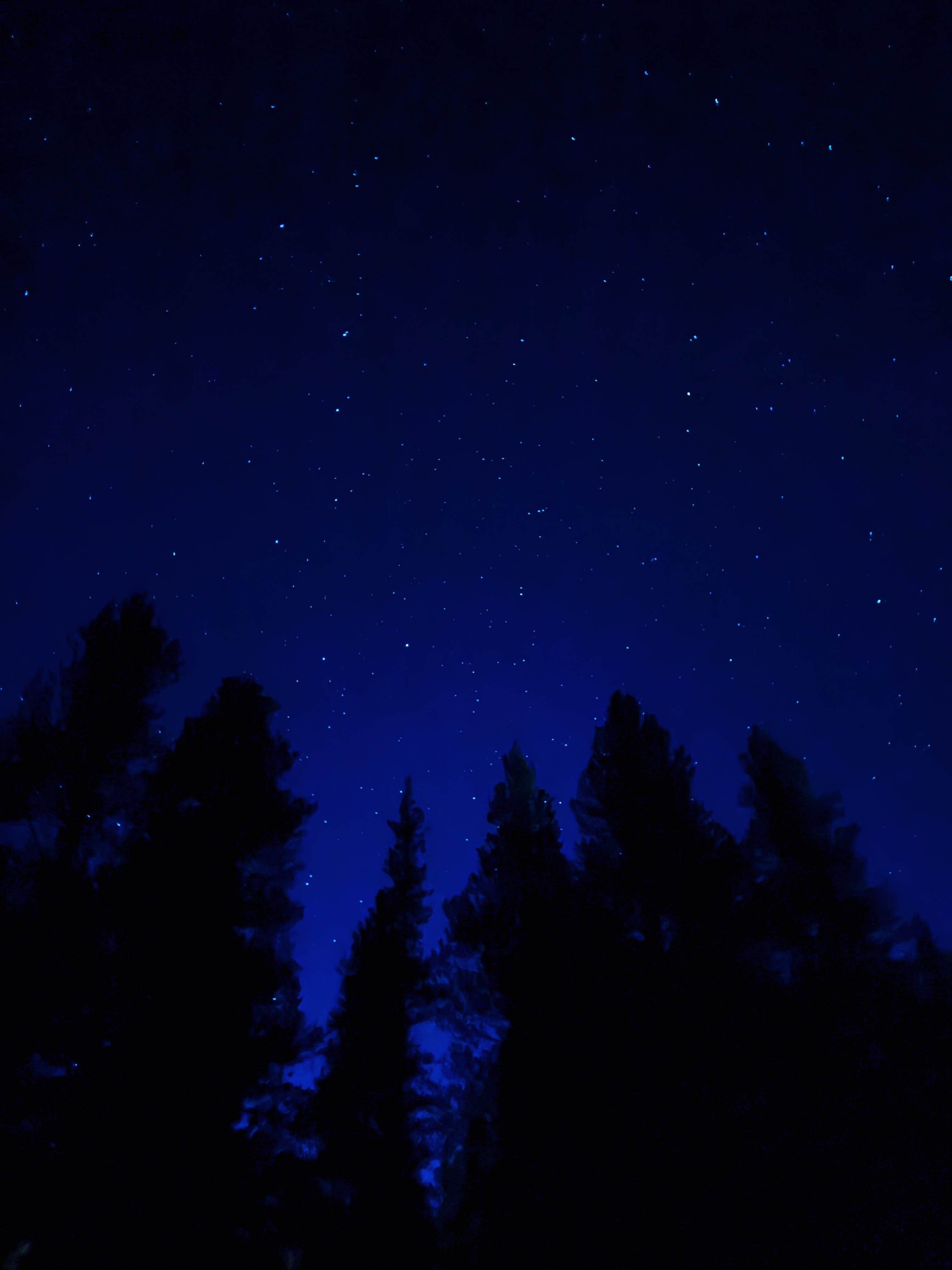 Camper-submitted photo at Turquoise Lake Primitive Camping near Granite, CO