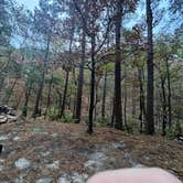 Review photo of Dead Man Gap Dispersed Campsite by Kaleb G., November 4, 2024