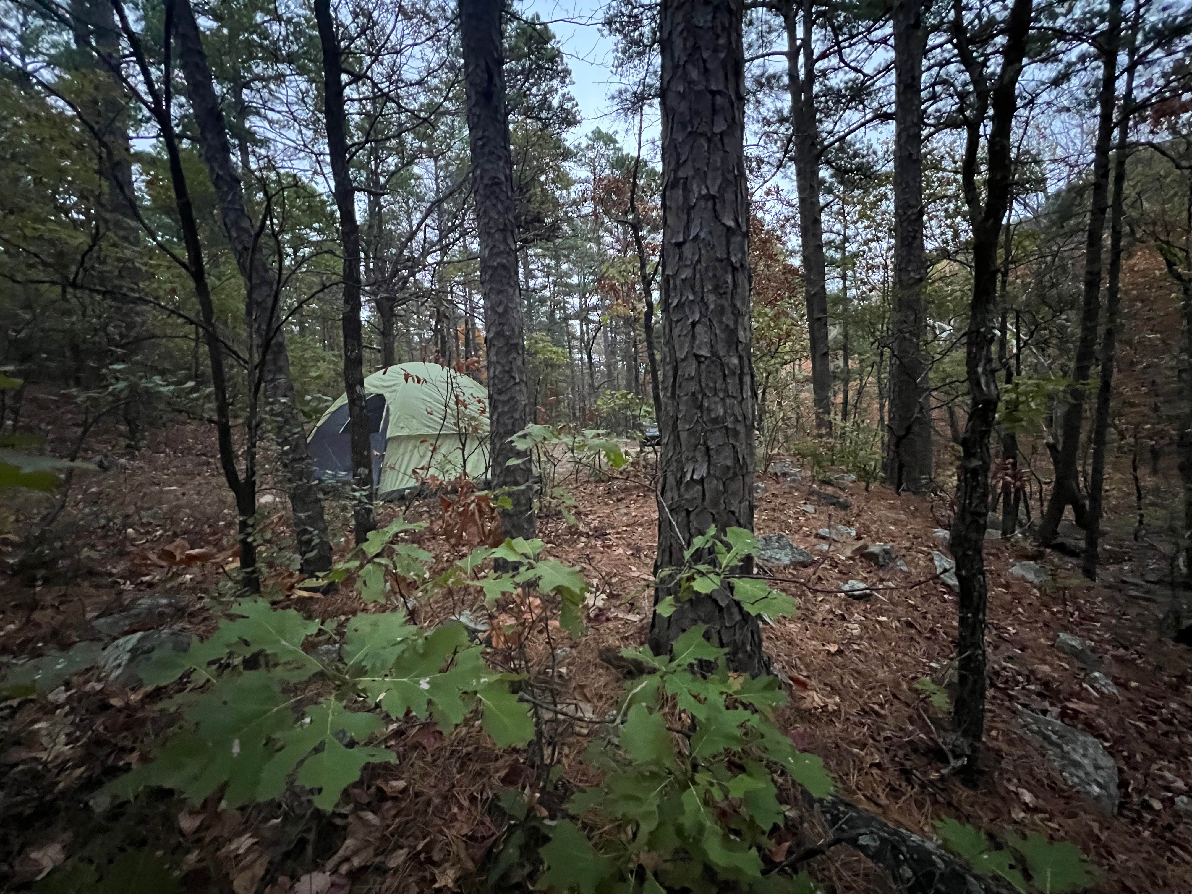 Camper-submitted photo at Dead Man Gap Dispersed Campsite near Clayton, OK