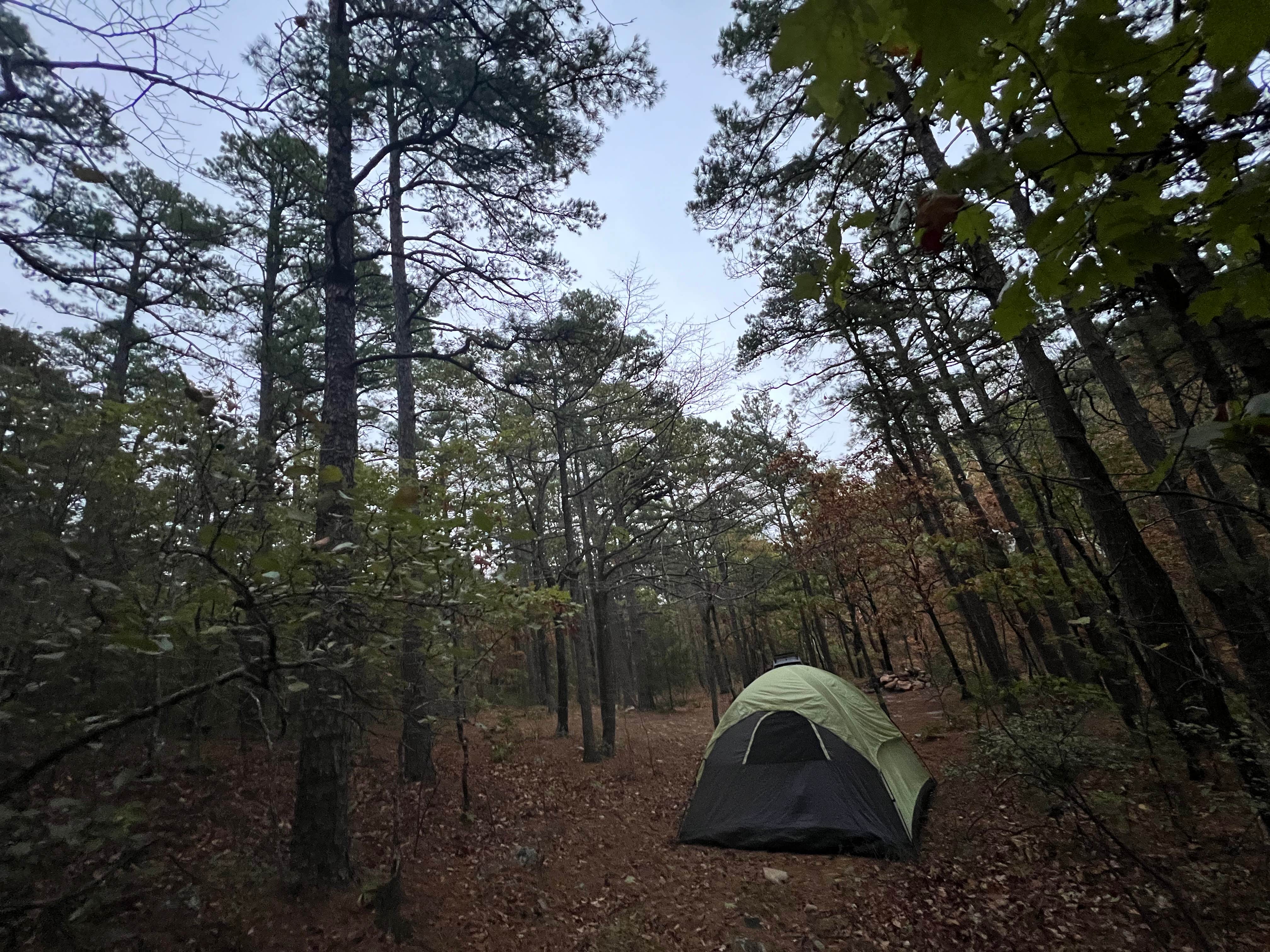 Kaleb G.'s photo at Dead Man Gap Dispersed Campsite near Wilburton, OK