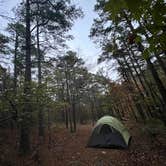 Review photo of Dead Man Gap Dispersed Campsite by Kaleb G., November 4, 2024