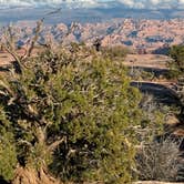 Review photo of Wingate Campground — Dead Horse Point State Park by Britt M., November 30, 2025