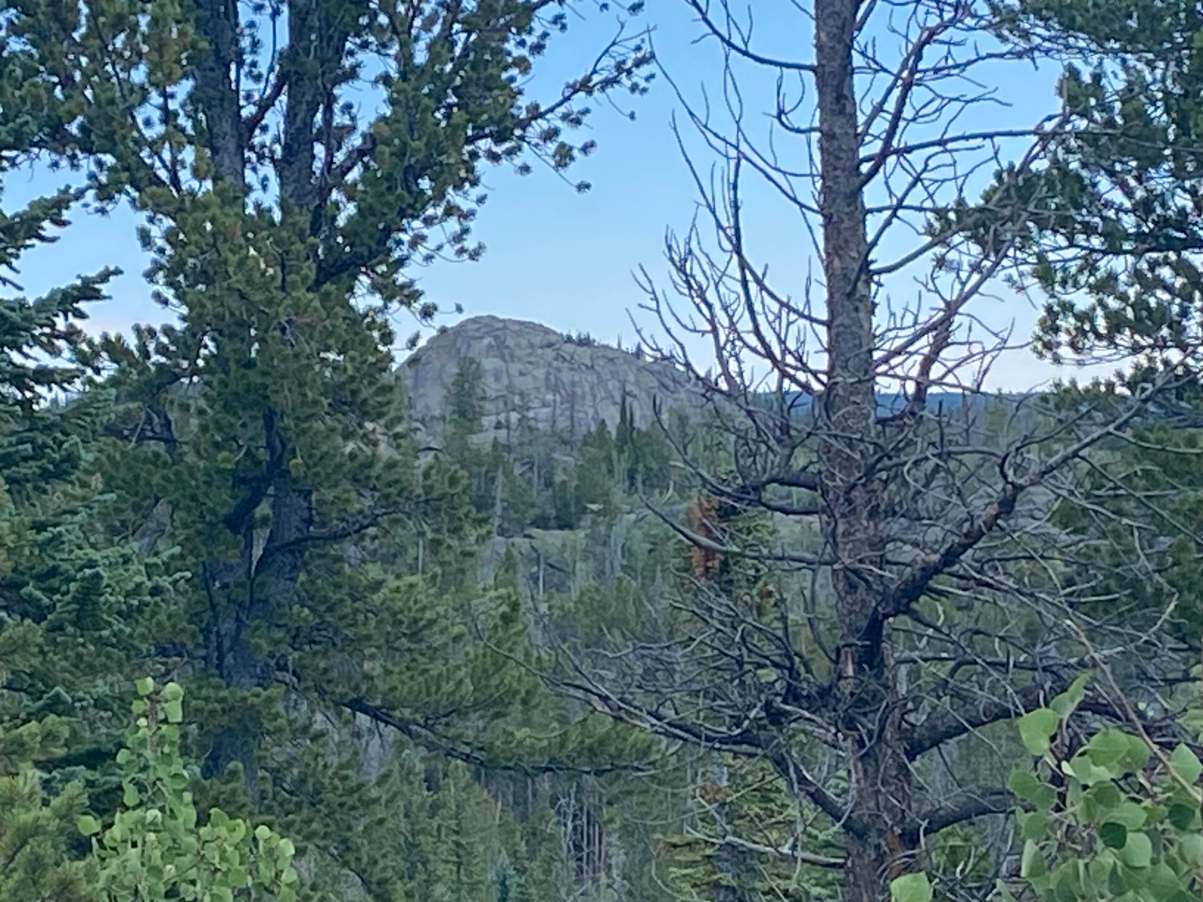 Camper-submitted photo at Deadman Road - Dispersed Site near Red Feather Lakes, CO