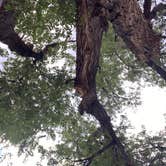 Review photo of Deadman Road - Dispersed Site by dawn C., August 15, 2026