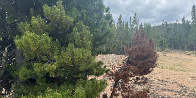 Camper submitted image from Deadman’s Rd