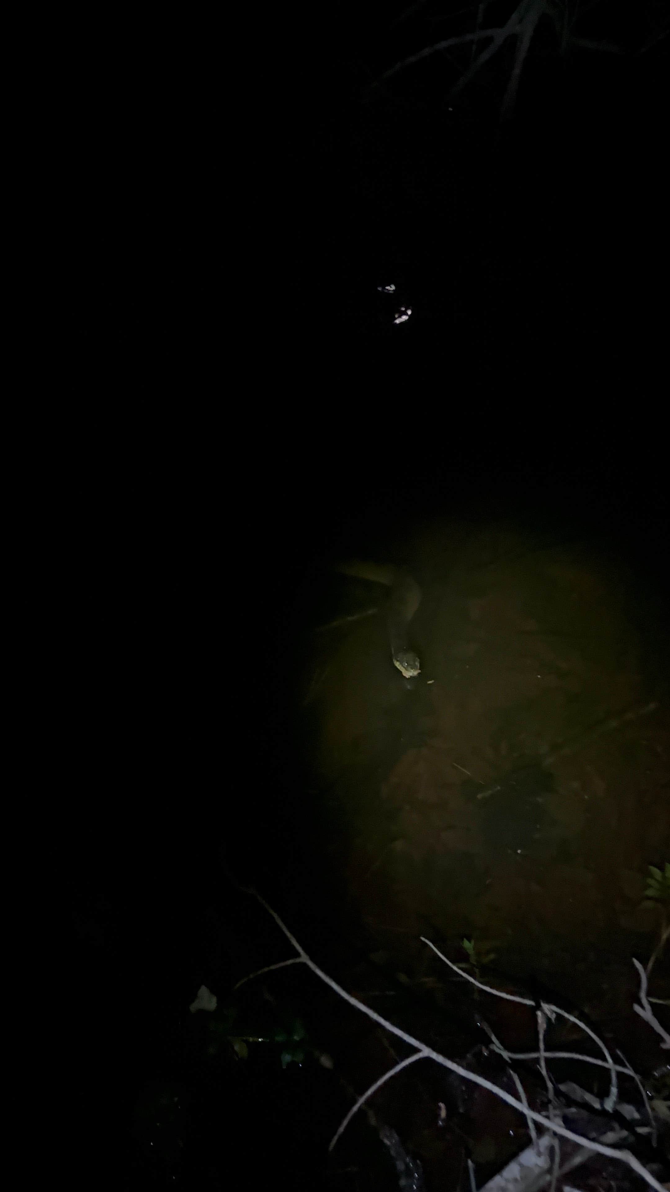 Camper-submitted photo at Deadman Gap South Trail Dispersed Campsite near Eufaula Lake