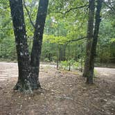 Review photo of Deadman South Trail dispersed camping by John , September 28, 2024