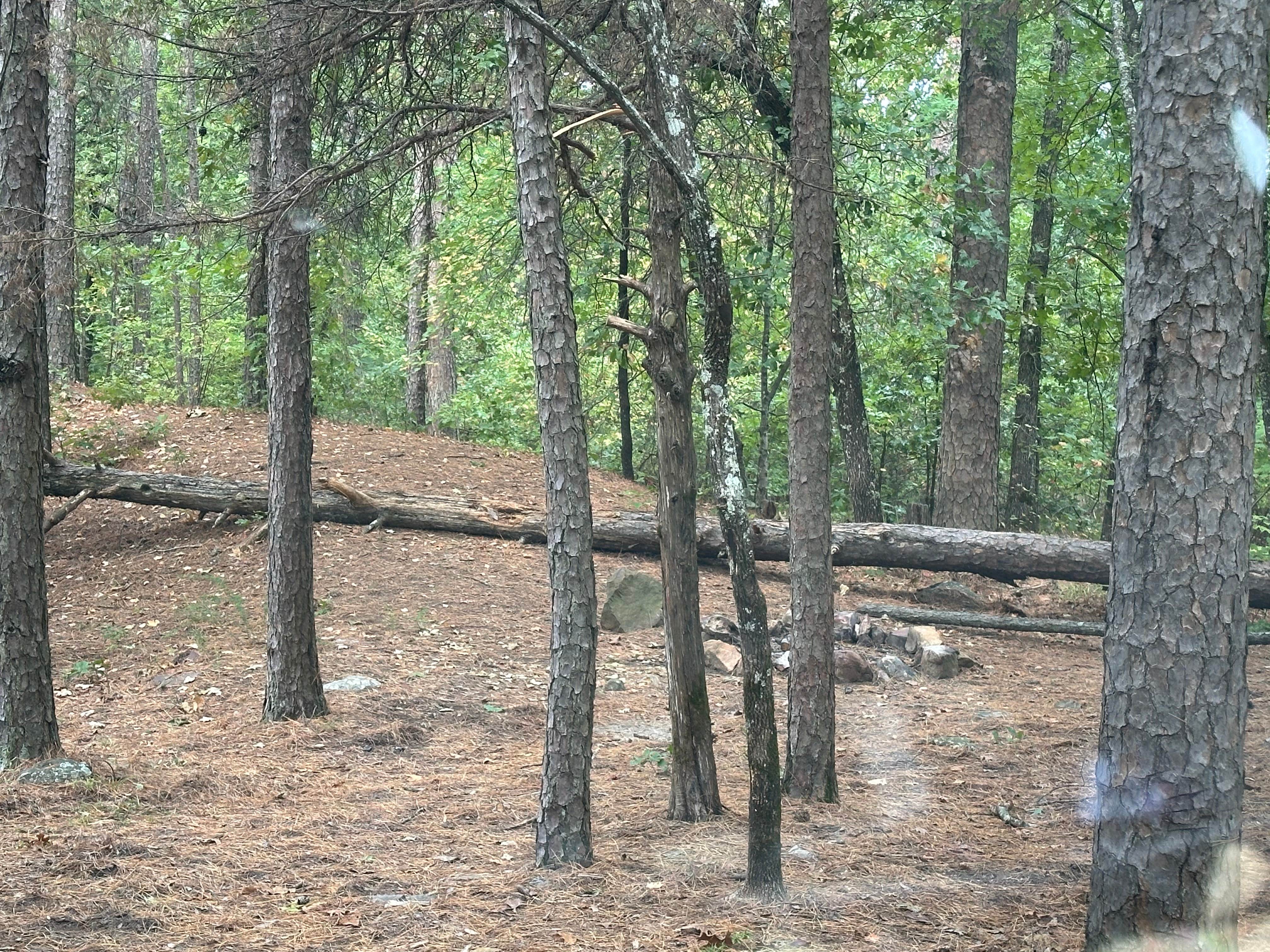 Camper-submitted photo at Deadman Gap South Trail Dispersed Campsite near Clayton, OK