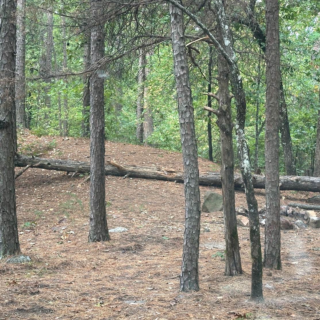 Deadman South Trail dispersed camping Talihina, OK