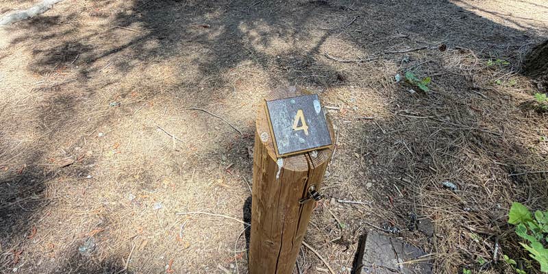 Camper submitted image from Deanes Valley Family Campground — Plumas National Forest