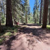 Review photo of Deanes Valley Family Campground — Plumas National Forest by Patricia N., July 16, 2026