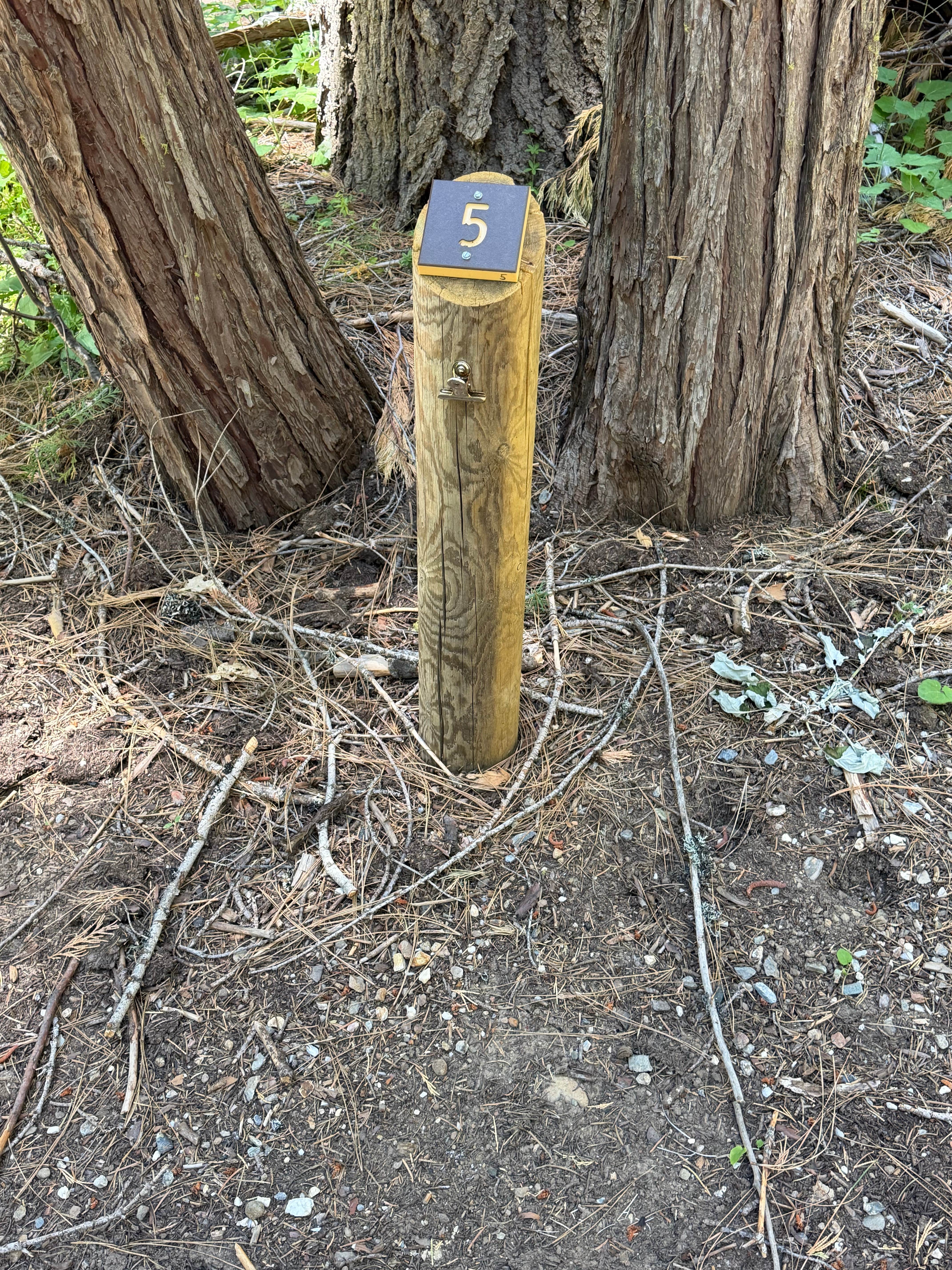 Camper-submitted photo at Deanes Valley Family Campground — Plumas National Forest near Quincy, CA