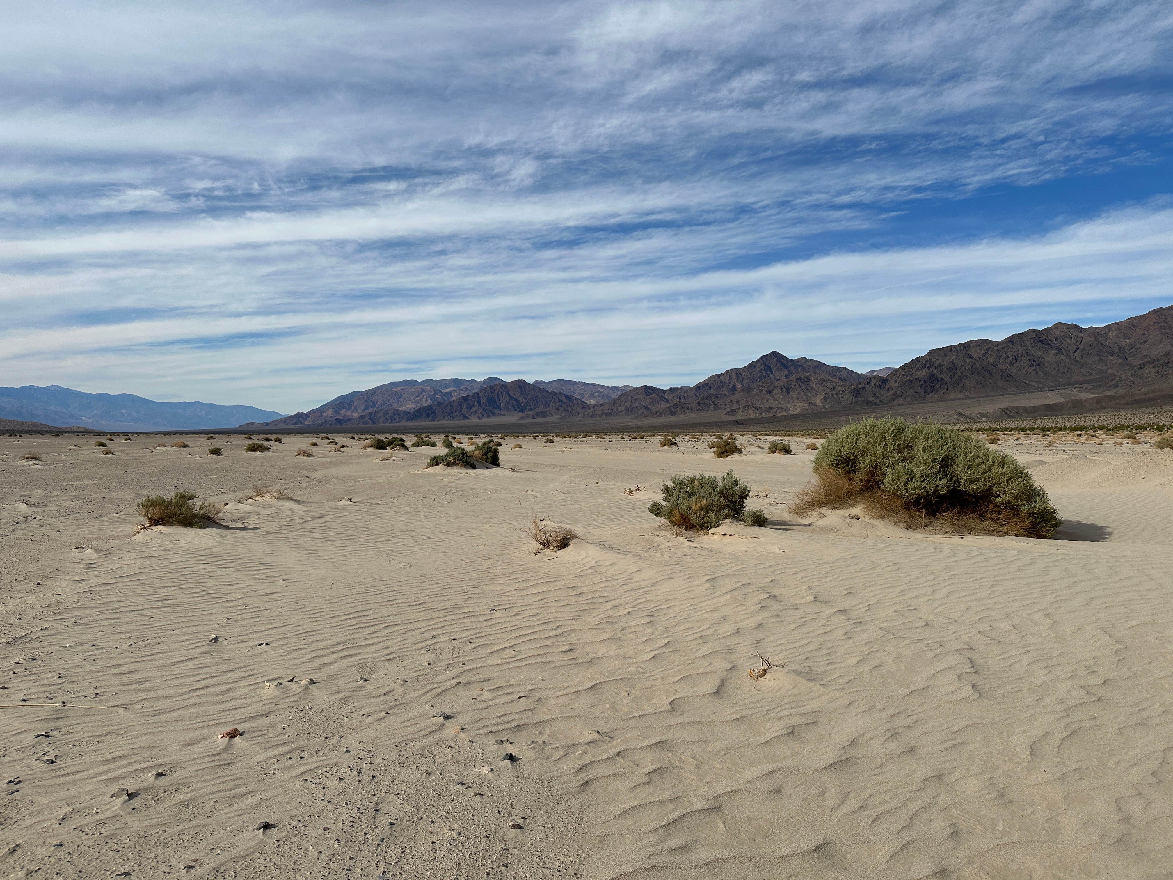 Camper submitted image from Death Valley Backcountry Roadside Camping — Death Valley National Park - 5