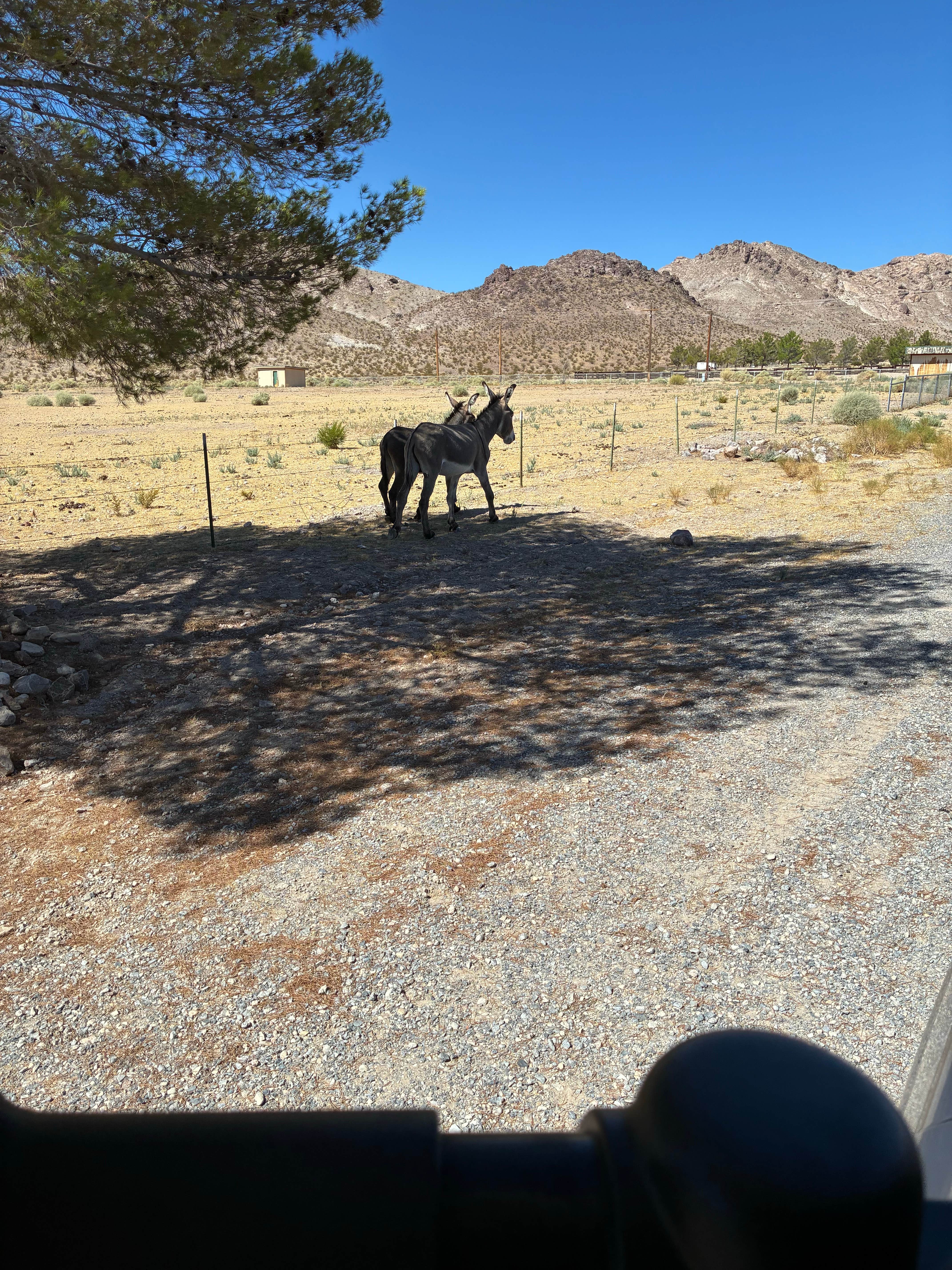 Camper-submitted photo at Death Valley Inn & RV Park near Amargosa Valley, NV