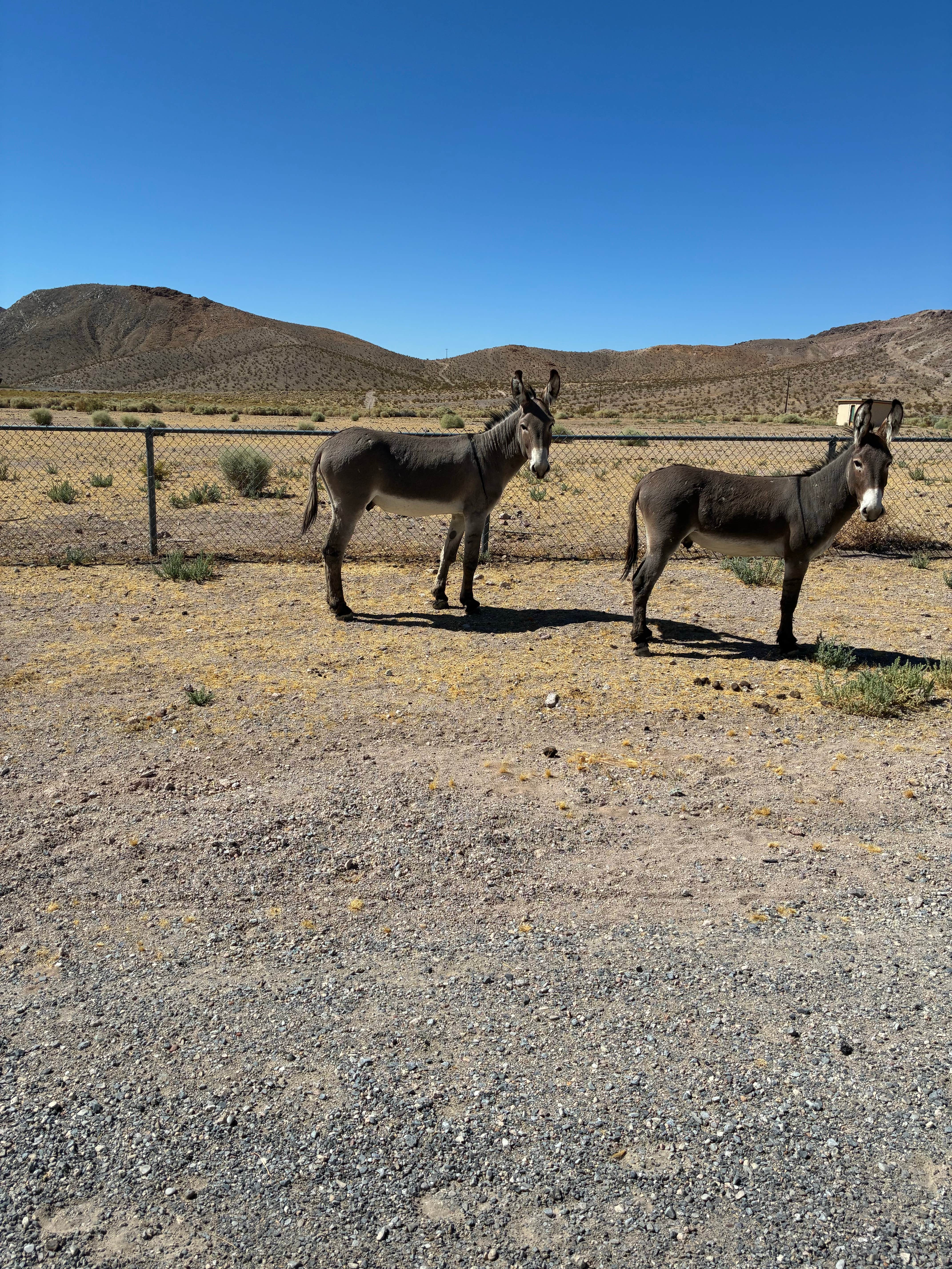 Camper-submitted photo at Death Valley Inn & RV Park near Amargosa Valley, NV