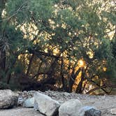 Review photo of Death Valley Wilderness Area Dispersed Camping — Death Valley National Park by Mara S., April 15, 2025