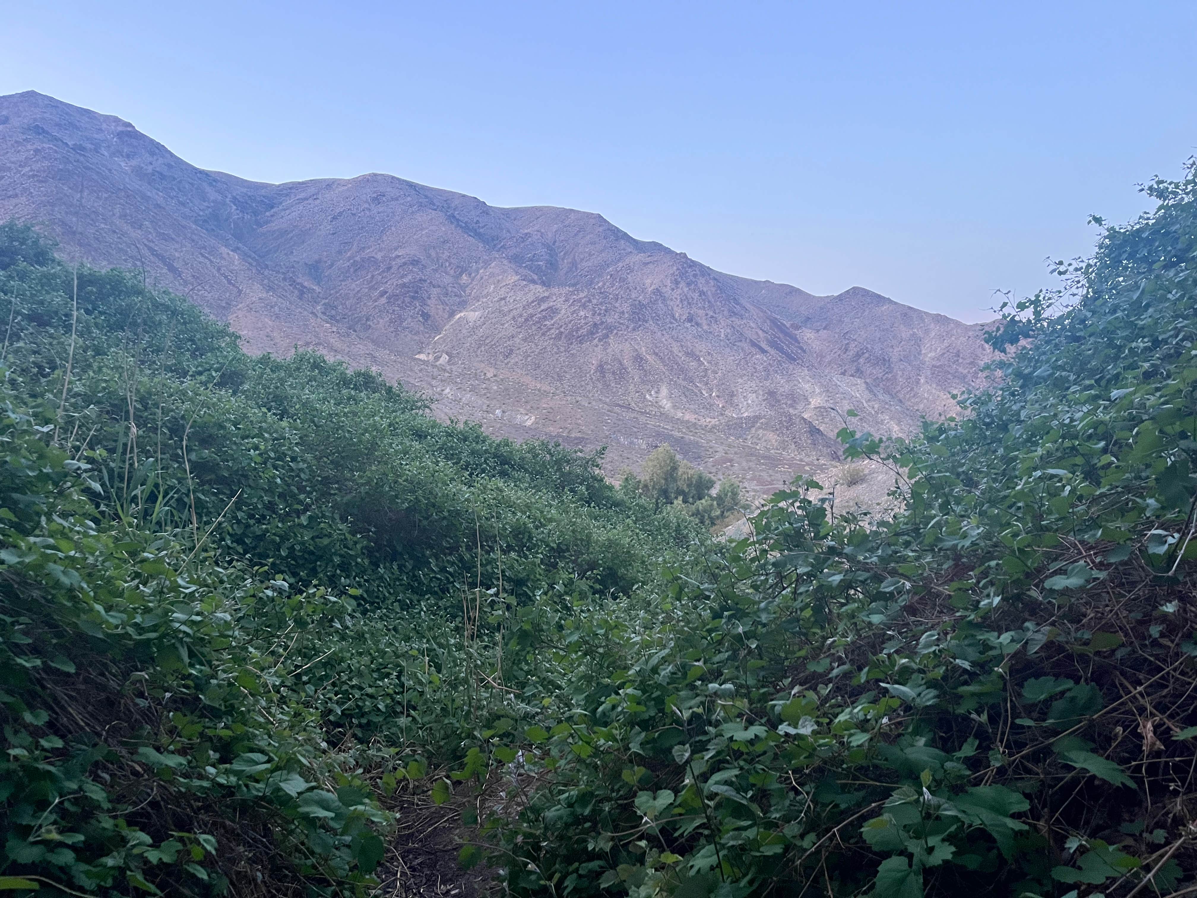 Camper-submitted photo at Death Valley Wilderness Area Dispersed Camping — Death Valley National Park near Trona, CA