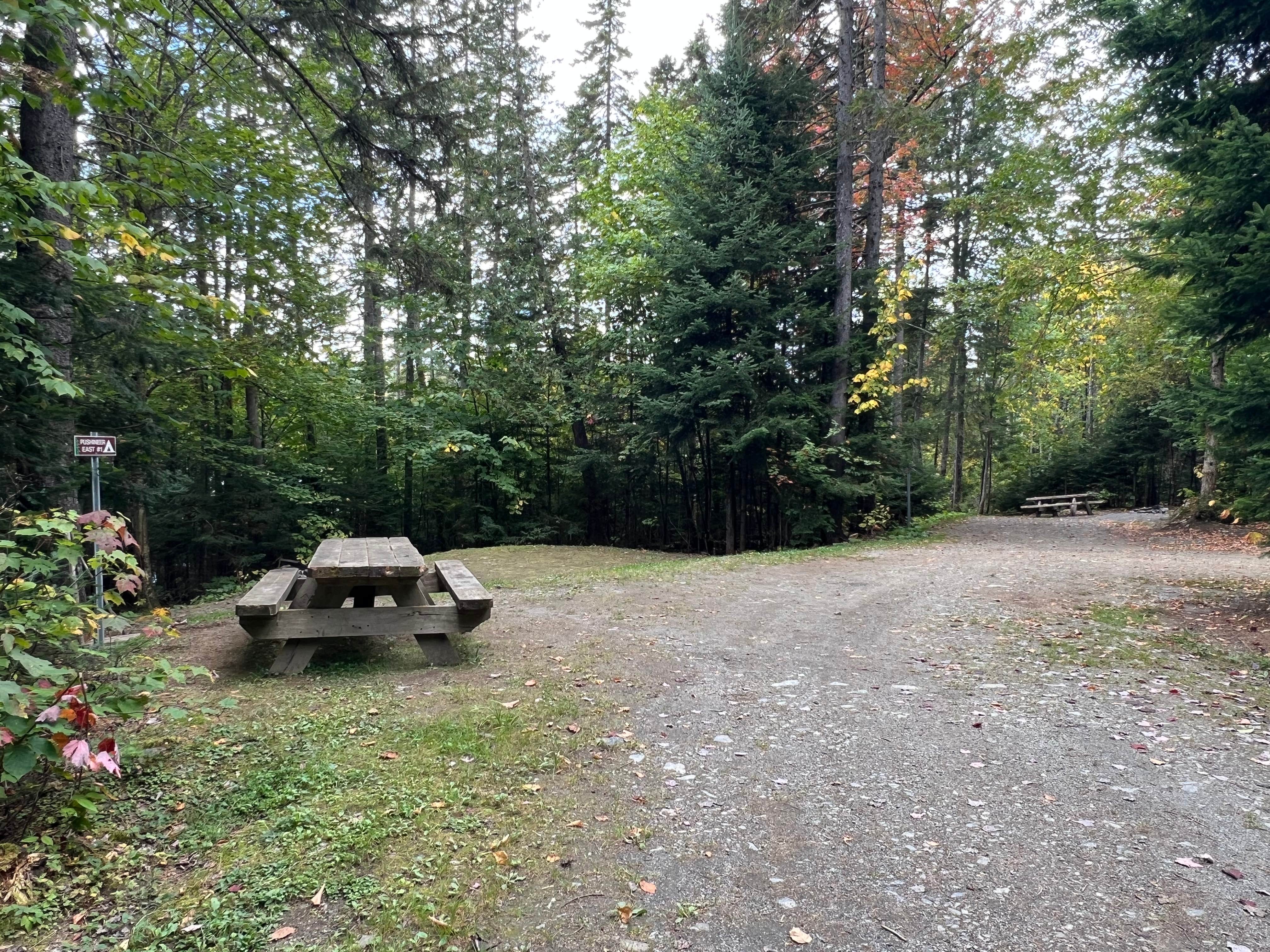 Camper-submitted photo at Deboullie Public Lands near Mapleton, ME