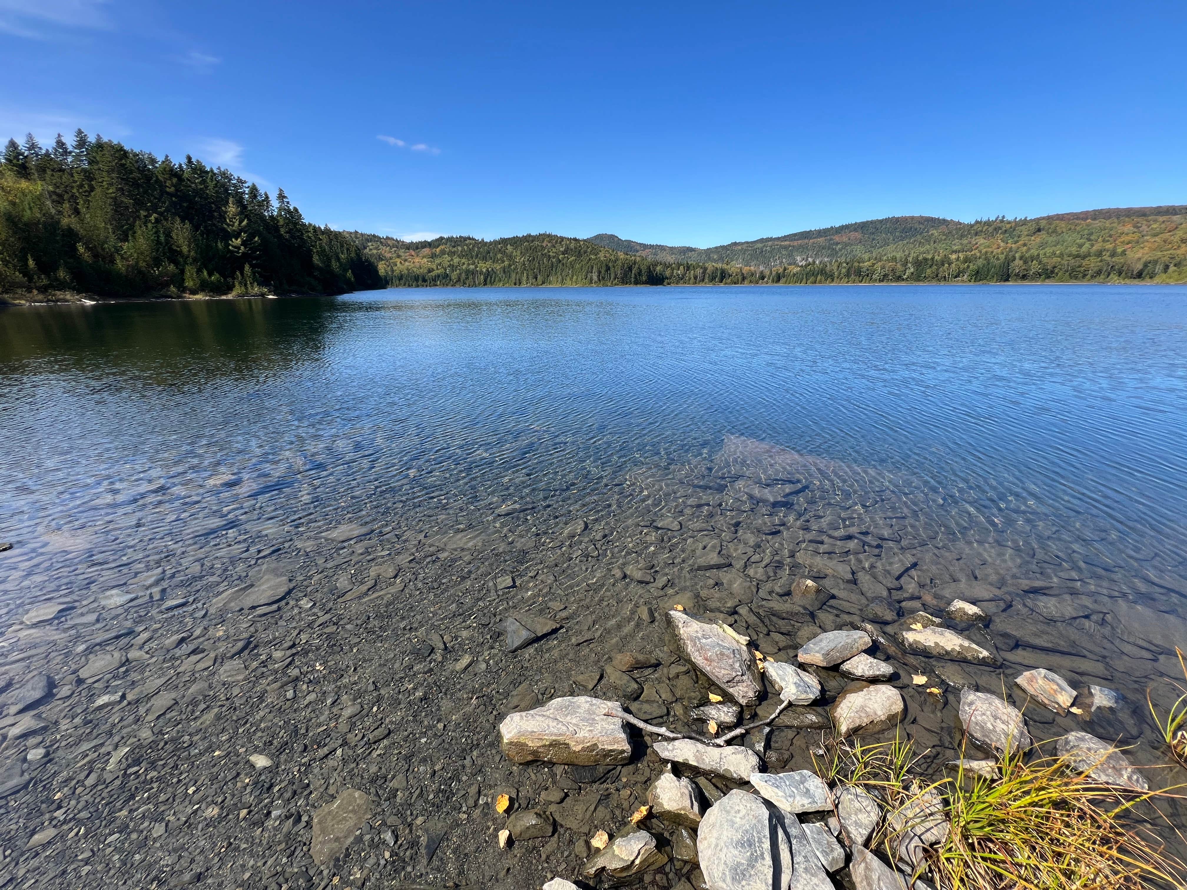 Camper-submitted photo at Deboullie Public Lands near Mapleton, ME