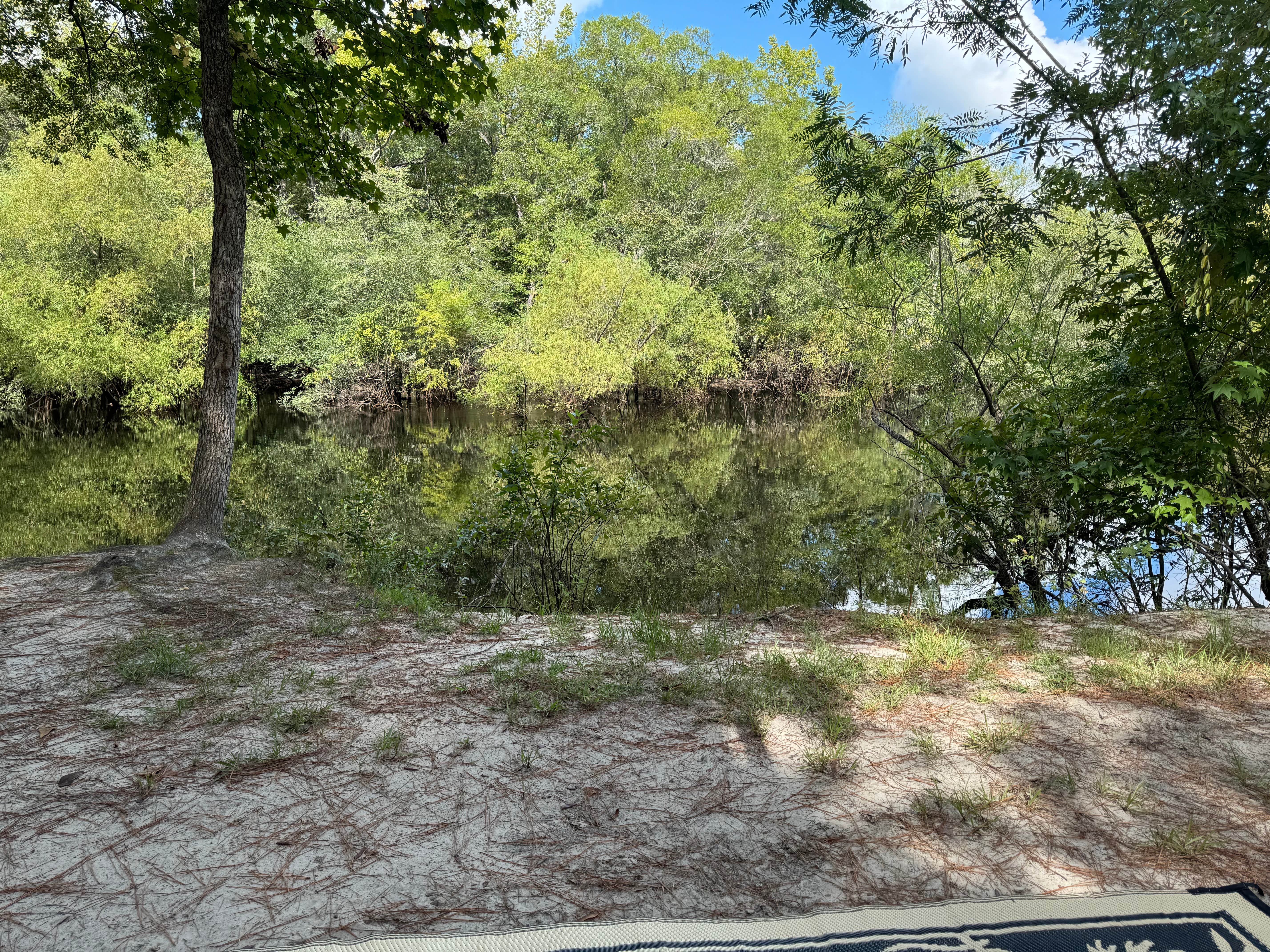 Camper-submitted photo at Deep Bend Landing near Hoboken, GA