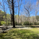 Review photo of Deep Creek Campground — Great Smoky Mountains National Park by Carolin C., April 15, 2024