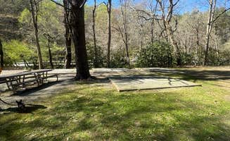 Carolin C.'s photo of camping with pets at Deep Creek Campground — Great Smoky Mountains National Park near Cherokee, NC