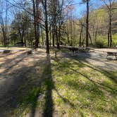 Review photo of Deep Creek Campground — Great Smoky Mountains National Park by Carolin C., April 15, 2024