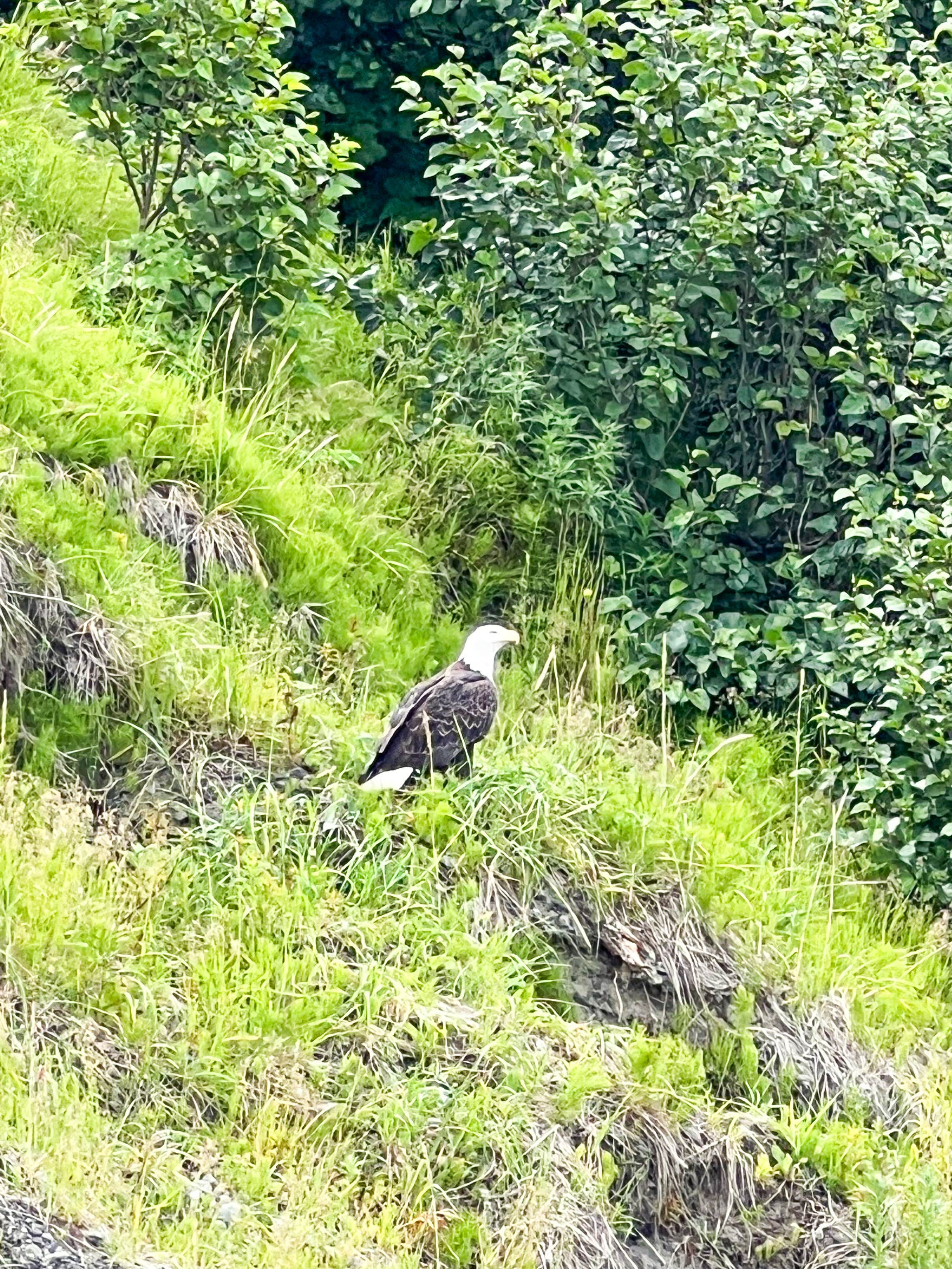 Camping near Heavenly Sights: Deep Creek Recreation Area, Ninilchik, Alaska