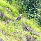 Review photo of Deep Creek Recreation Area by Lynde T., July 15, 2026