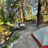 Review photo of Deep Creek Trailhead Camp by Molly R., July 24, 2024