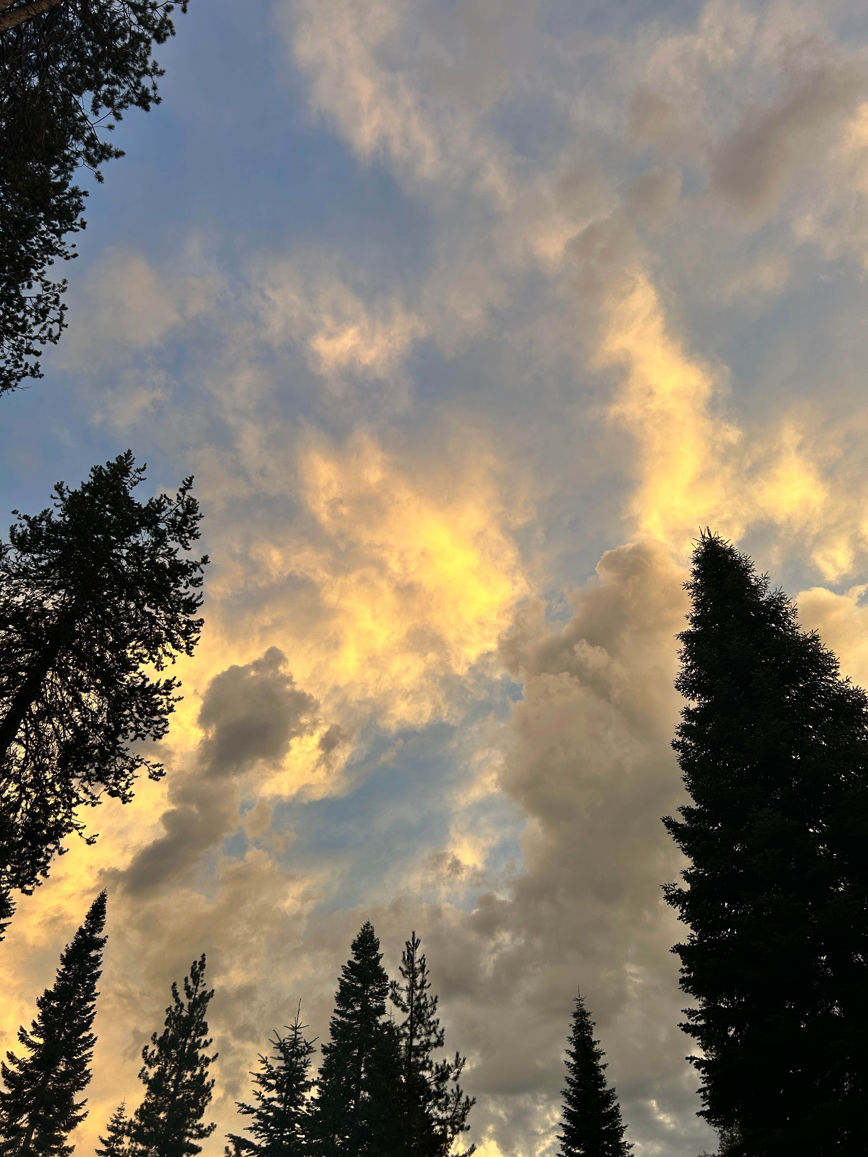 Camper-submitted photo at Deer creek campground near Big Creek, CA