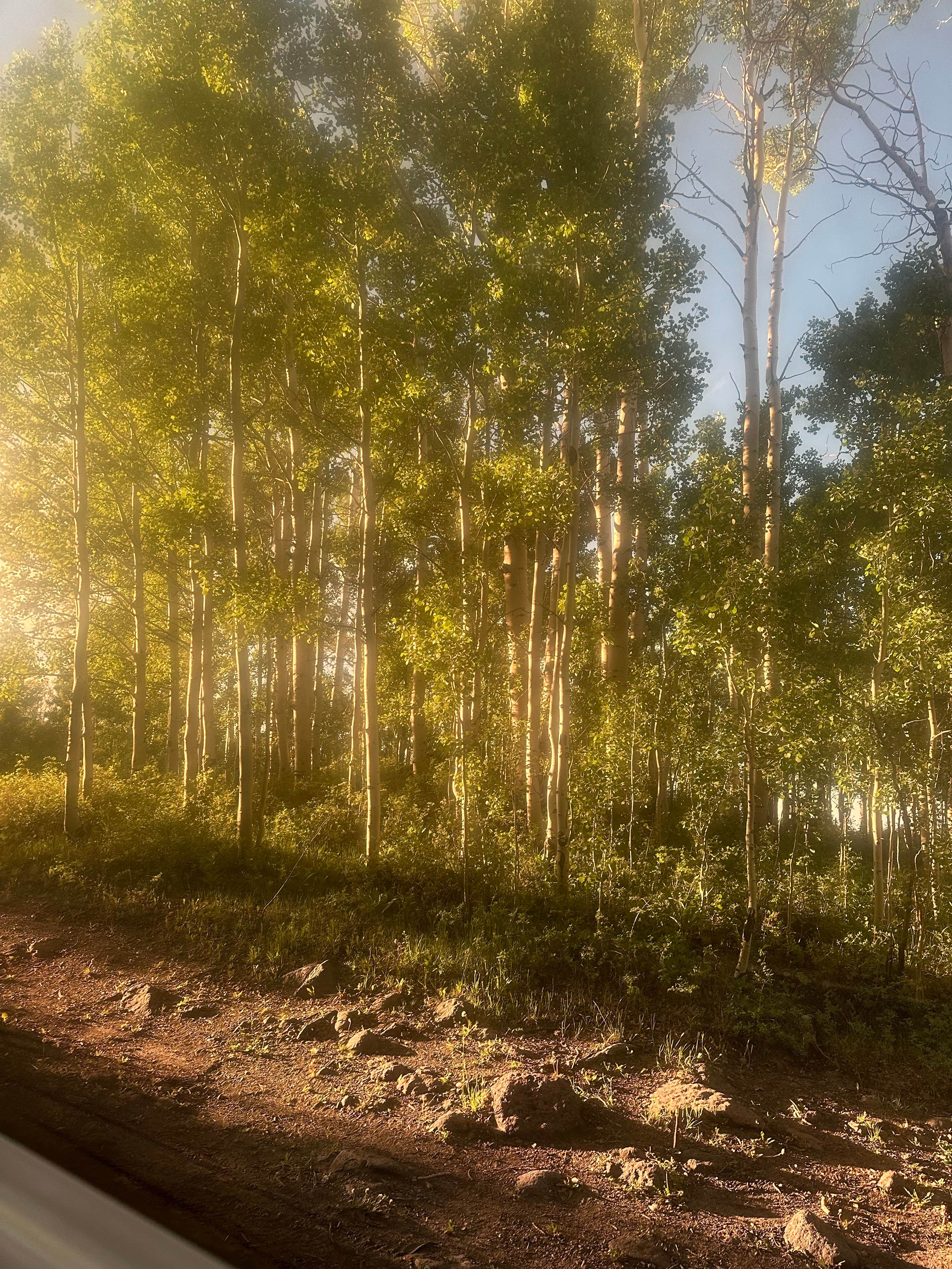 Eliza S.'s photo of a dispersed camping area at Deer Creek Lake Trail near Capitol Reef National Park