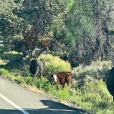Review photo of Deer Creek Lake Trail by Eliza S., June 15, 2025