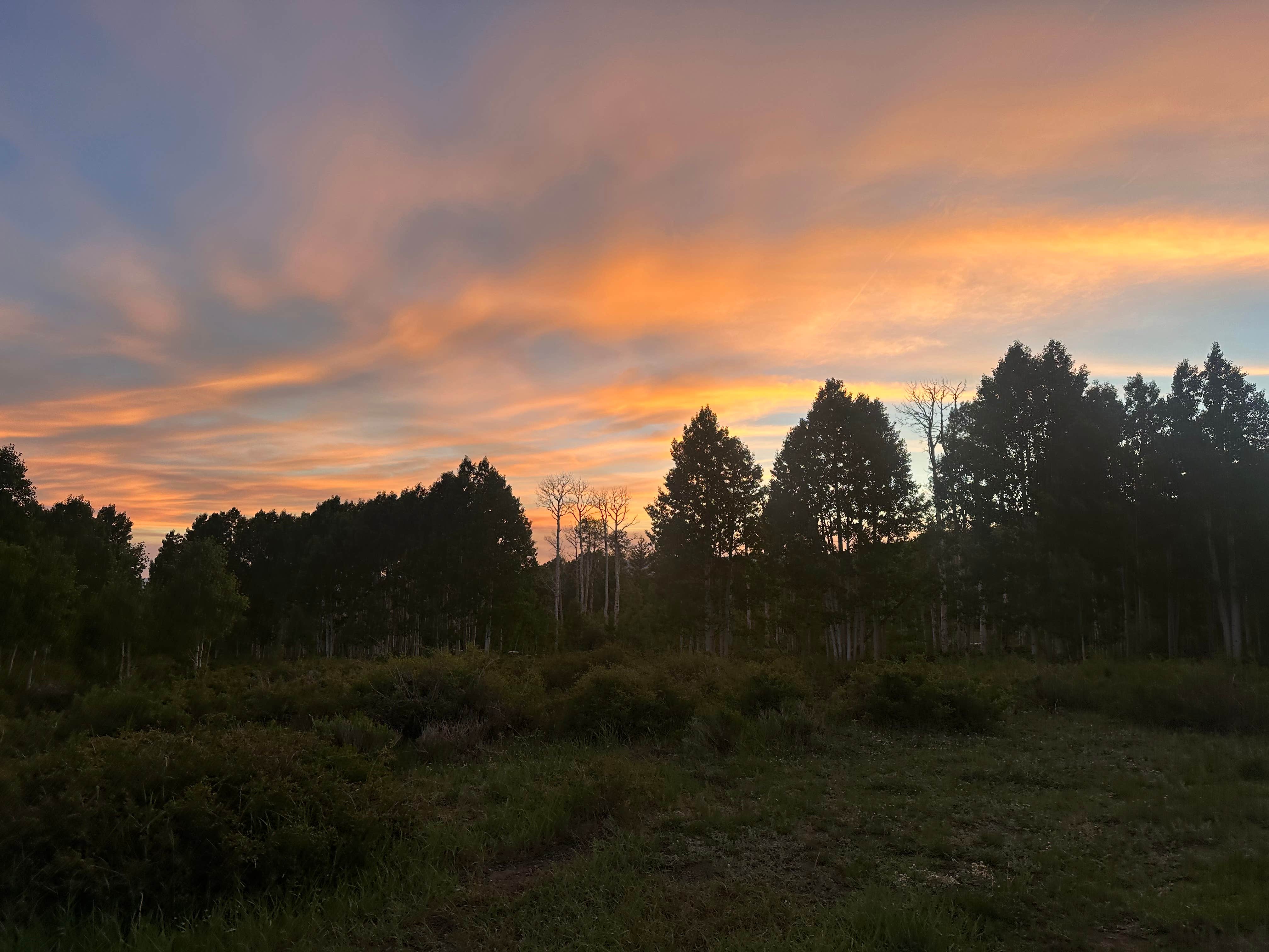 Eliza S.'s photo of a dispersed camping area at Deer Creek Lake Trail near Capitol Reef National Park