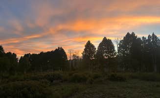 Eliza S.'s photo of a dispersed camping area at Deer Creek Lake Trail near Boulder, UT