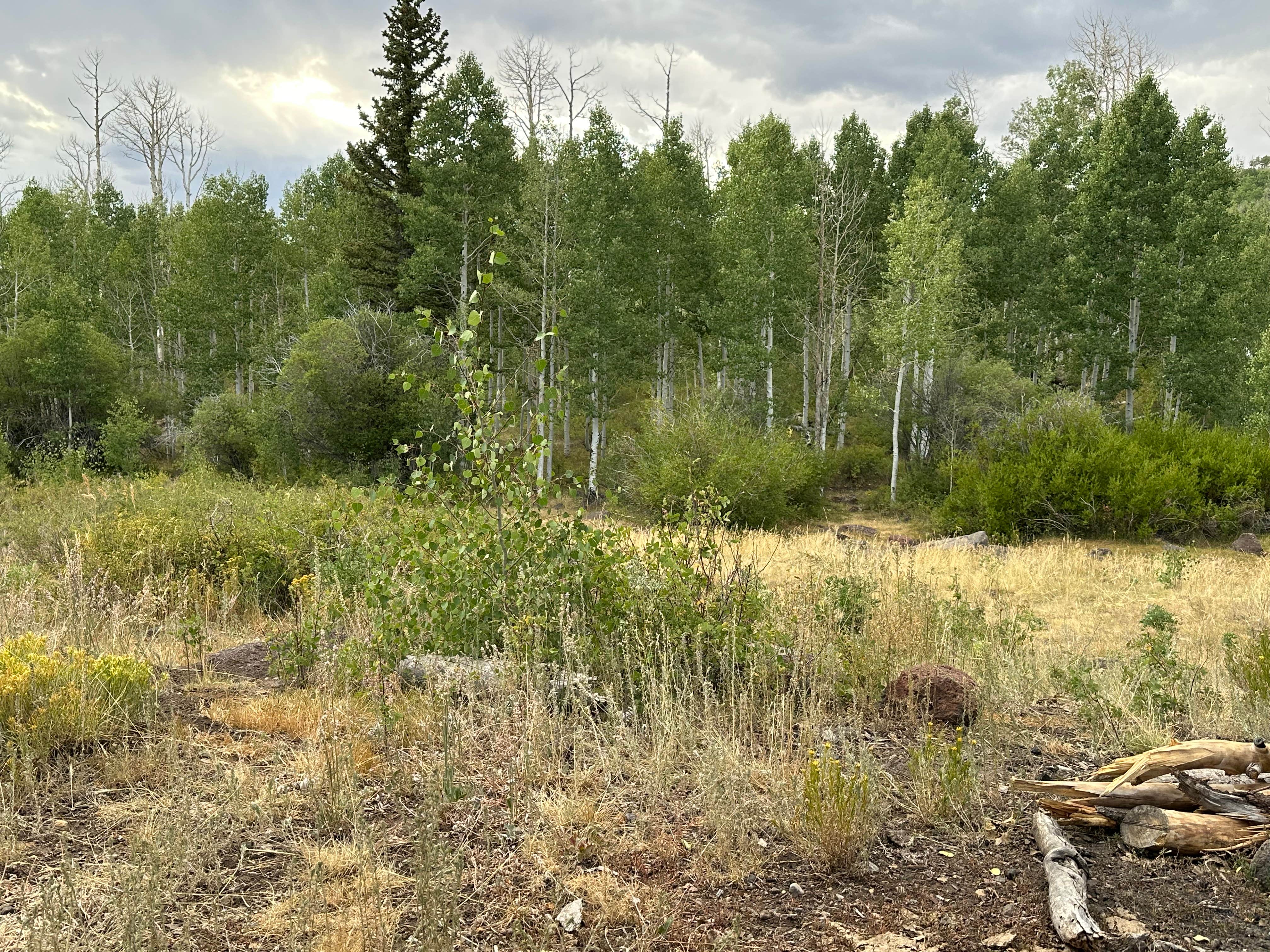 Camping near Oak Creek Reservoir: Deer Creek Lake Trail, Boulder, Utah