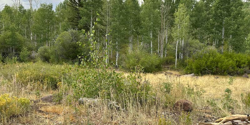 Camper submitted image from Deer Creek Lake Trail