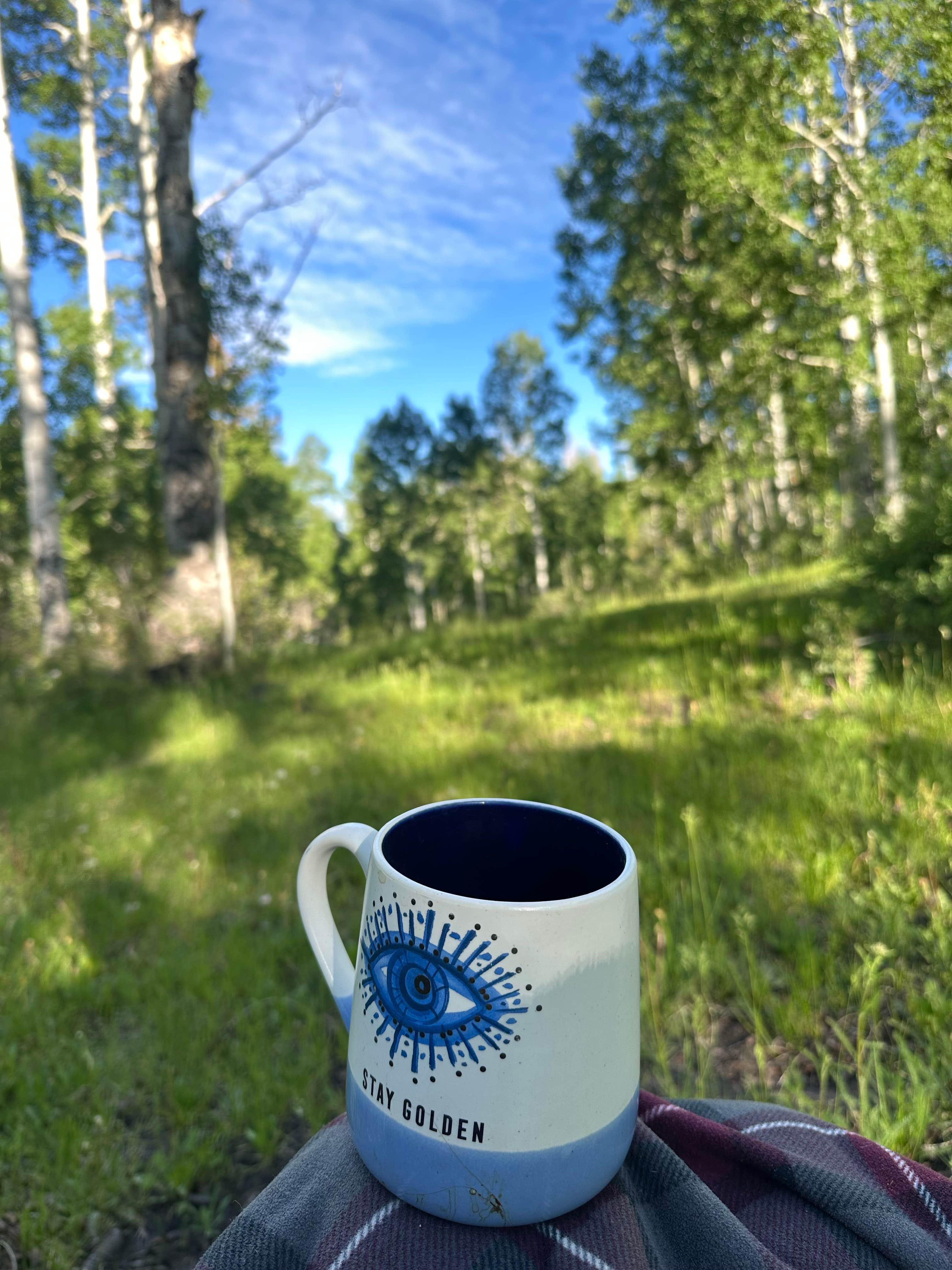 Camper submitted image from Deer Creek Lake Trail - 4