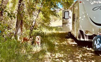 Sharon W.'s photo of camping with pets at Deer Gulch near Salmon-Challis National Forest