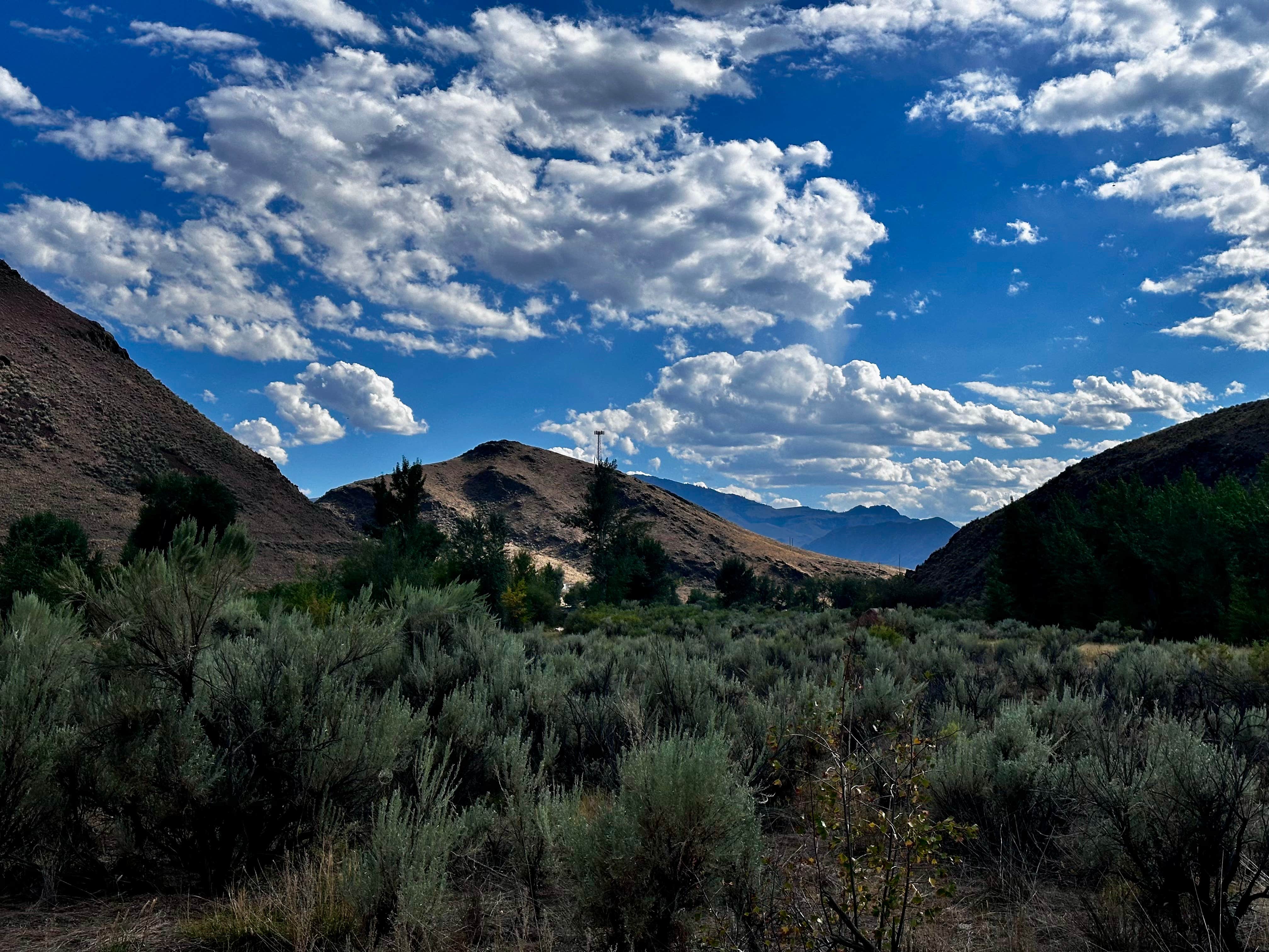 Camper-submitted photo at Deer Gulch near May, ID