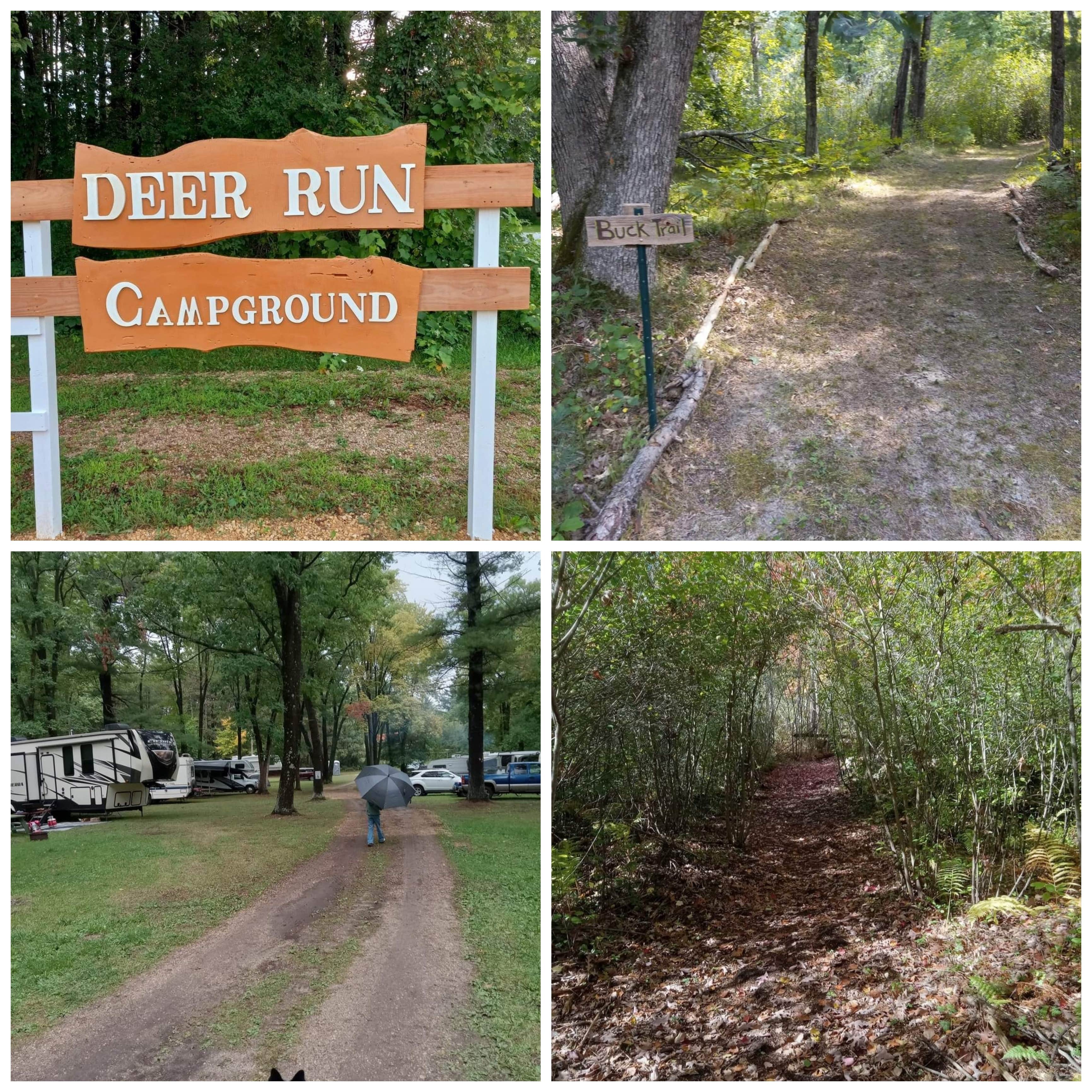 Camper submitted image from Deer Run - 1