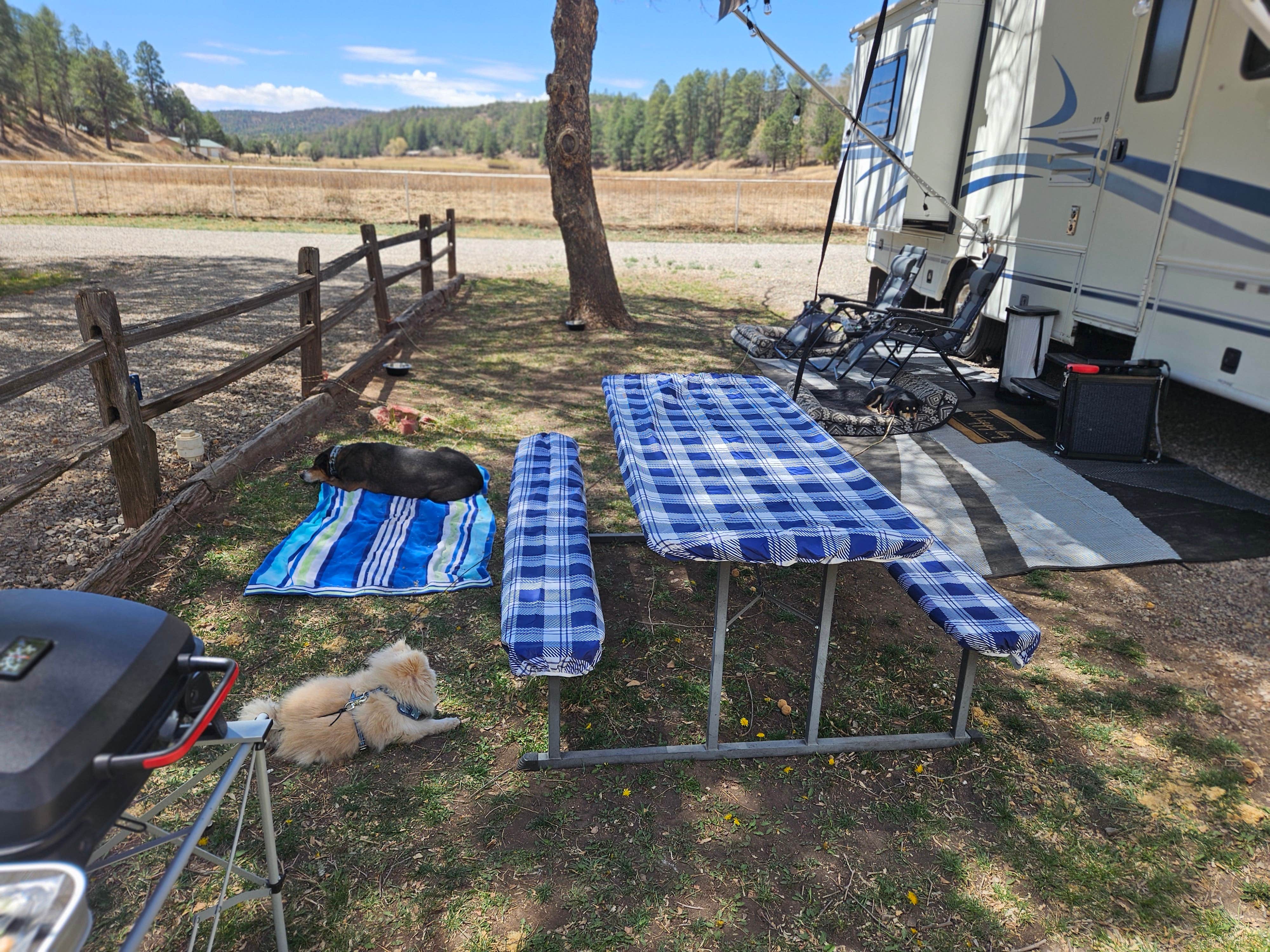 Markus K.'s photo of rv camping at Deer Spring RV Park near Cloudcroft, NM