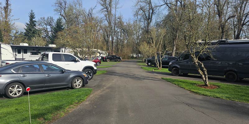 Camper submitted image from Deerwood RV Park