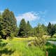 Racetrack Campground
