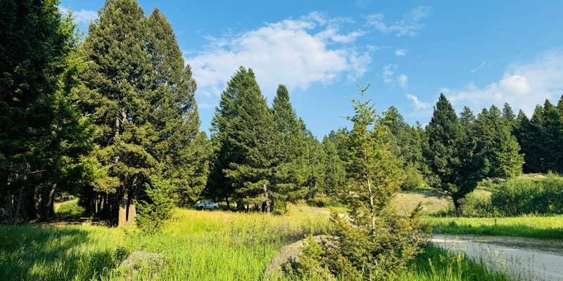 Camper submitted image from Racetrack Campground