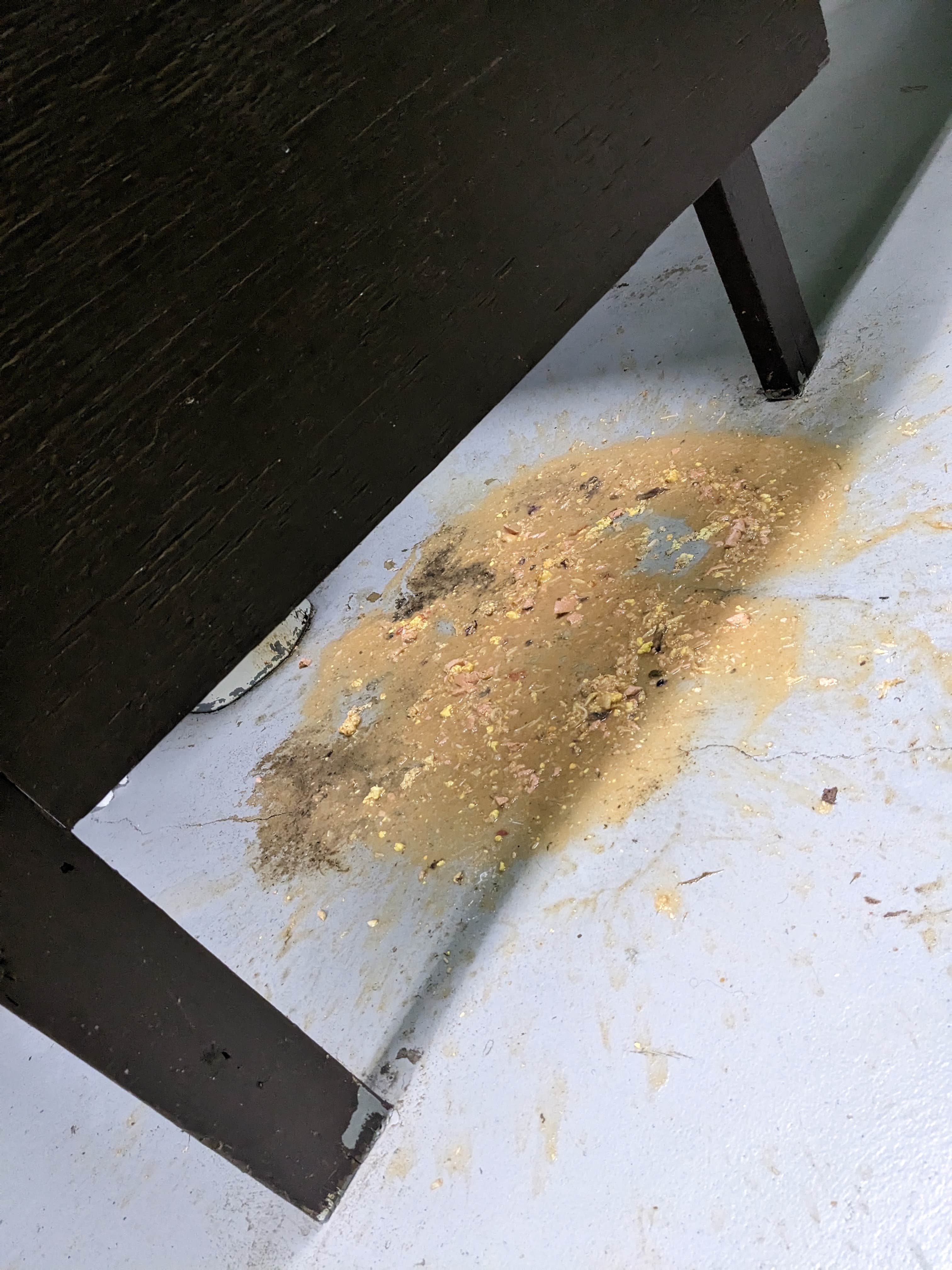 Camper submitted image from Deerwood Park - 1