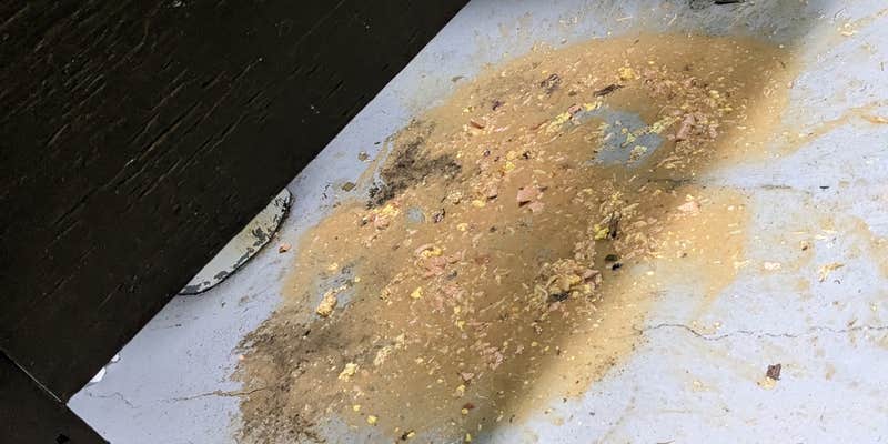 Camper submitted image from Deerwood Park