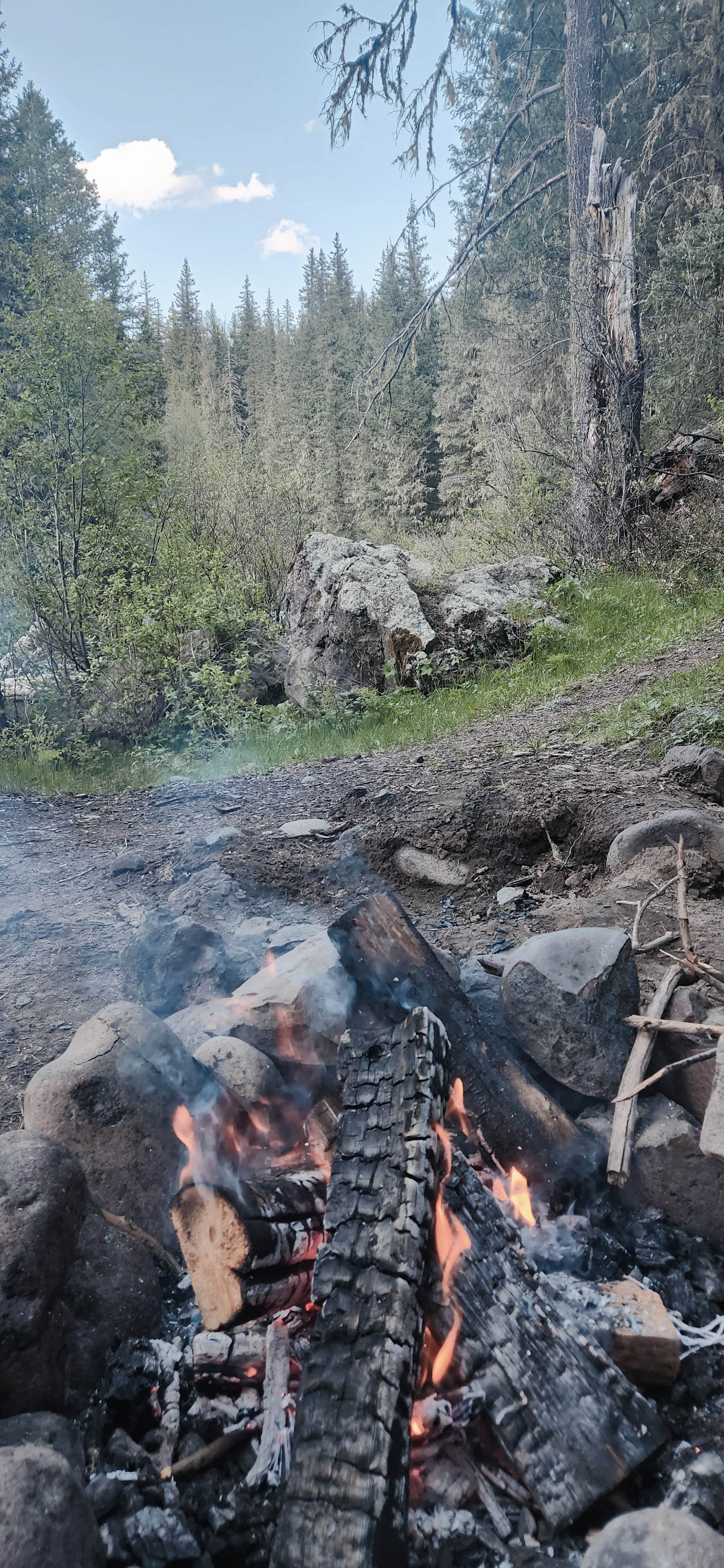Camper-submitted photo at Del Norte Dispersed Camping near Pagosa Springs, CO